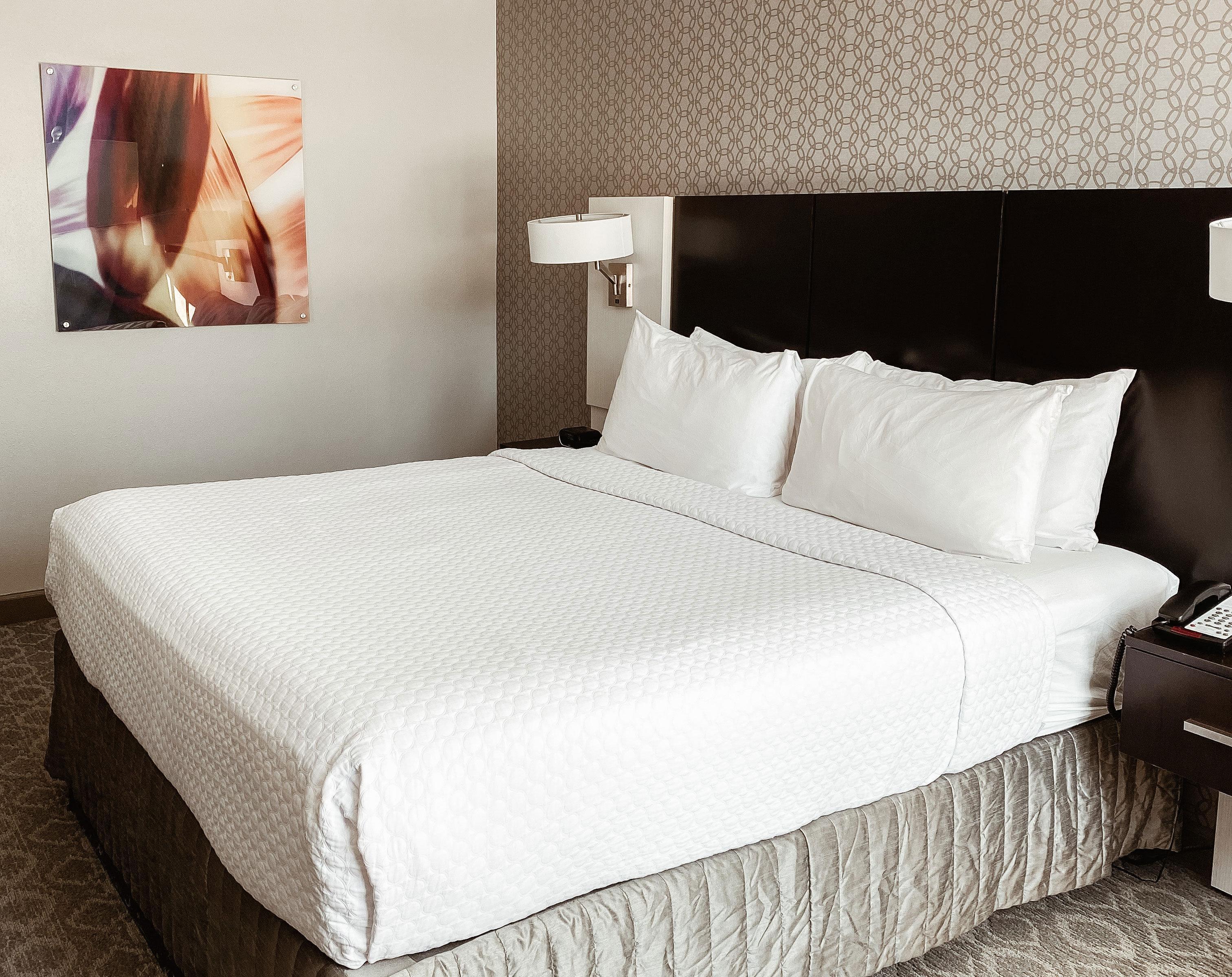Hotel Crowne Plaza Chicago Sw - Burr Ridge By Ihg Esterno foto